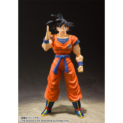 Dragon Ball: S.H. Figuarts - Goku Saiyan Rise On Earth Dragon Ball: S.H. Figuarts - Goku Saiyan Rise On Earth